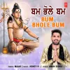 About Bum Bhole Bum Song