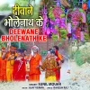 About Deewane Bholenath Ke Song