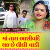 About Maa Tara Ashirvade Thayi Chhe Lili Vadi Song