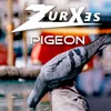 About Pigeon Song