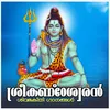 Om Namah Shivaya