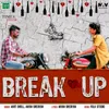 About Break Up Song