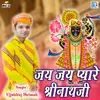 About Jai Jai Pyare Shrinathji Song