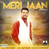 About Meri Jaan One Song