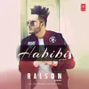 About Habibi Song