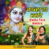 About Kanha Tere Nakhre Song