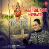 Maa Tere Aaye Navratre