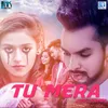 About Tu Mera Song