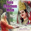 About Tere Charnon Mein Song