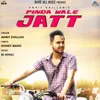 About Pinda Wale Jatt Song