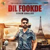 About Dil Fookde Song