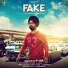 About Fake Song