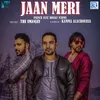 Jaan Meri