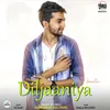 About Diljaaniya Song