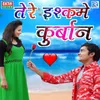 About Tere Ishq Me Kurbaan Song