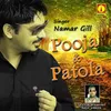 About Pooja & Patola Song
