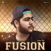 About Fusion Song