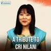 China Nilani