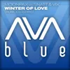 About Winter Of Love Original Mix Song