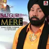 About Satguru Mere Song