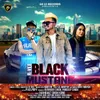 About Black Mustang Song