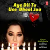 About Aye Dil Tu Use Bhool Ja Song