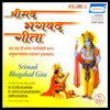 Gita Part-8