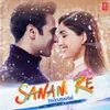 Sanam Re - Instrumental