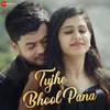 About Tujhe Bhool Pana Song