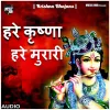 About HARE KRISHNA HARE MURARI Song