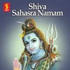 About Siva Sahasranamam Song