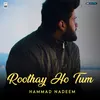 About Roothay Ho Tum Song