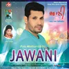 About Jawani Song