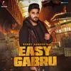 About Easy Gabru Song