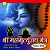 About SHREE MAHA MRUTUNJAY MANTRA Song