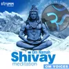 Om Namah Shivay Meditation