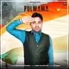 About Pulwama Song