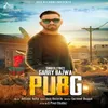 About PUBG Song