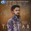 About T.v Star Song