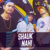 About Shauk Nahi Song