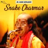 About Snake Charmar Song