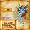 About Om Namah Bhagavate Rurudray Song