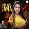 About Naa Bhul Jana Song
