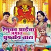 About Mazhya Aaichi Palkhi Aali (Renuka) Song