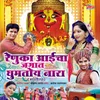 About Renukecha Ghumtoy Nara Zhalay Anand Santhora Song