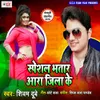 About Ara Jila Ke Bhatar Song