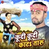 About Kudi Kudi Katar Taru Song