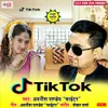 About Tik Tok Pe Video Banawelu Song