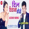About Dil Diwanaa Hoge Song