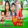 About Dil Ke Haran Po Po Baje Song